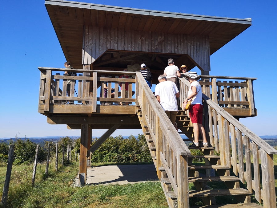 visite-pah-belvedere-05092021