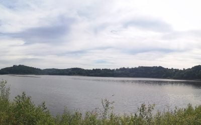 Visite guidée au Lac de Chamboux