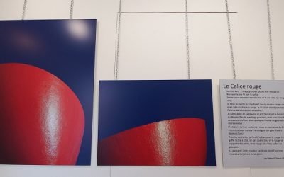 Expo-photo à la Galerie Les Bains-Douches