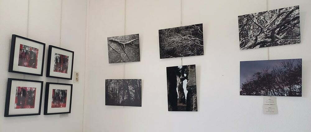Exposition « L&rsquo;arbre dans tous ses états » à la Galerie Les Bains-Douches