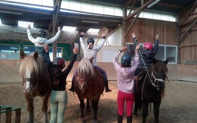 À cheval sur soi : un centre de médiation équine au cœur du Parc du Morvan