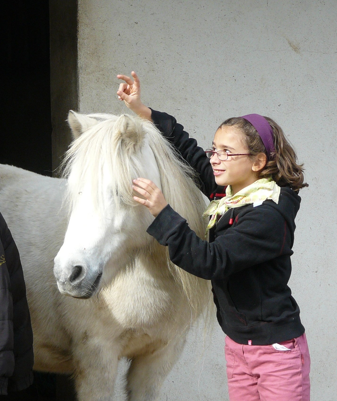PAL Centre mediation equine