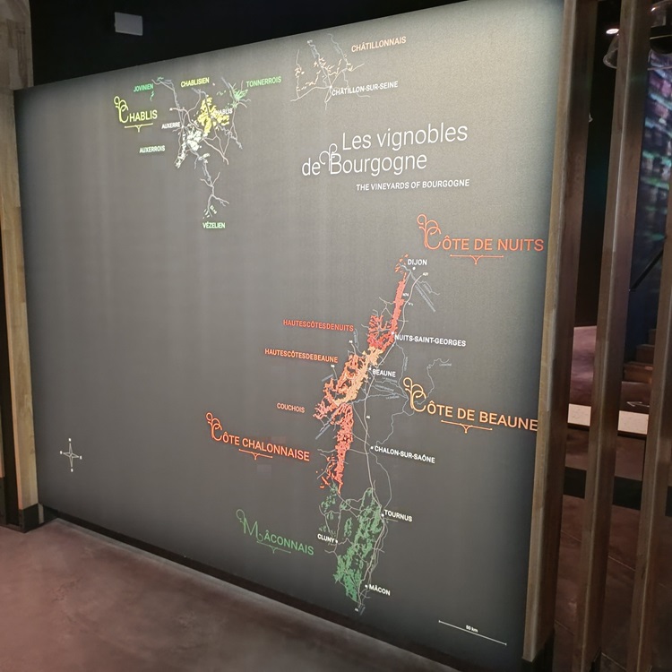 visite-cite-climats-vins-beaune-12032024-21-min