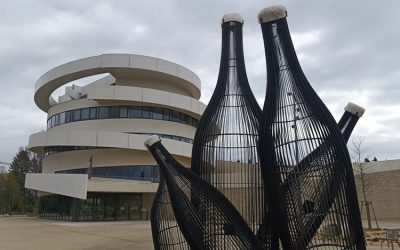 Visite de la Cité des Climats et des Vins à Beaune