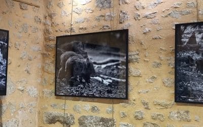 Exposition « Morvan Noir »