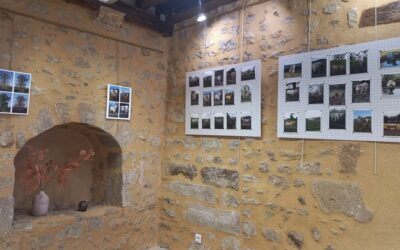 Exposition « Marguerite, Clothilde, Anaïs et Compagnie » à l&rsquo;Office de Tourisme