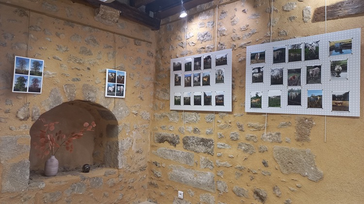 Exposition « Marguerite, Clothilde, Anaïs et Compagnie » à l&rsquo;Office de Tourisme