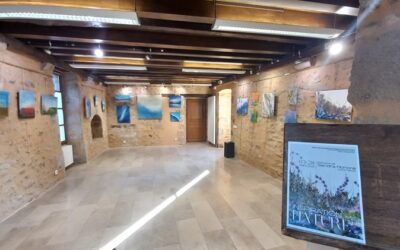Exposition « Inspiration Nature » à l&rsquo;Office de Tourisme