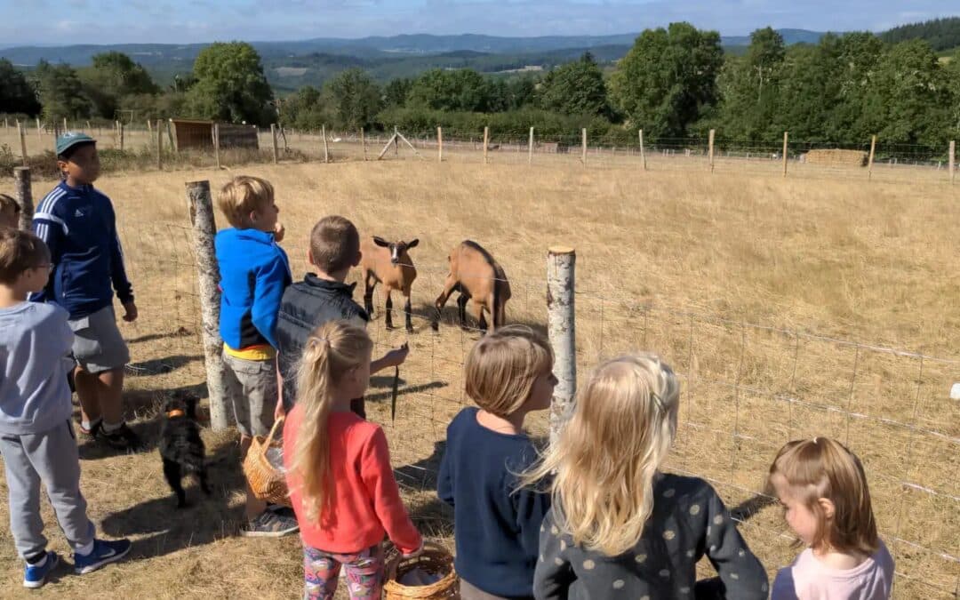 Un p&rsquo;tit tour à la Ferme des Belles Natures : Immersion nature et découvertes à Brazey-en-Morvan !