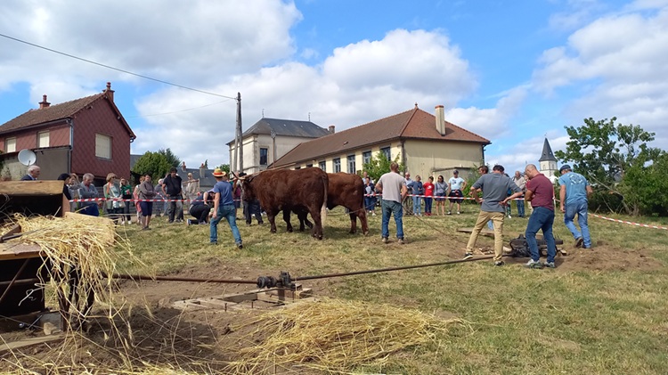 fete seigle-2023-menessaire
