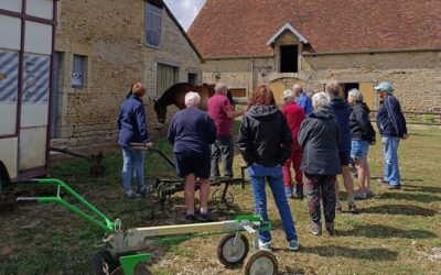 « Des animaux et des hommes » – visite à Sussey
