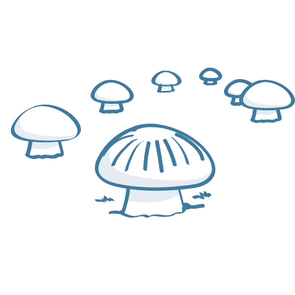 Champignons