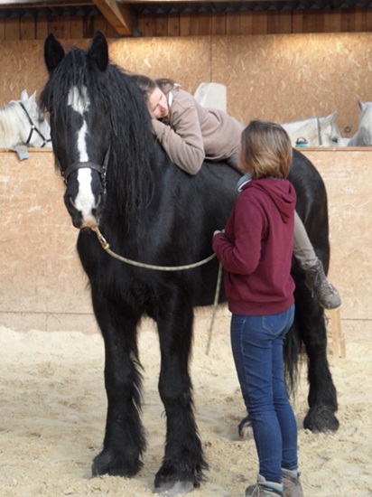 Therapie avec le cheval