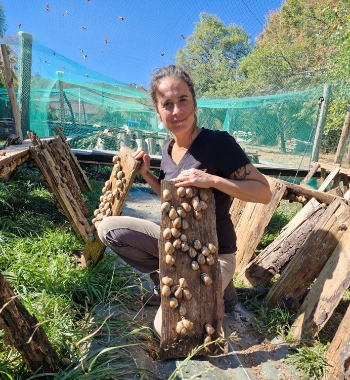 Perrine Ferme du Coutiroi escargot